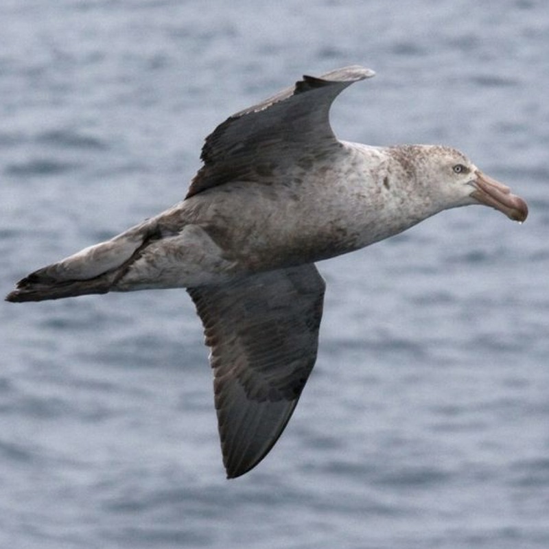 Puzzle Image