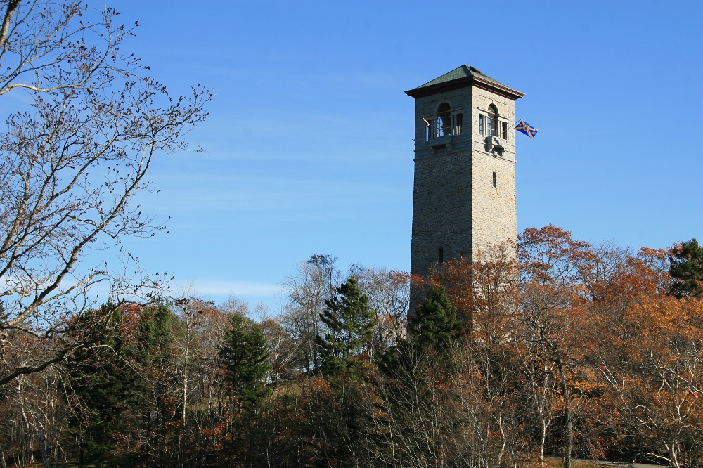 Puzzle Image