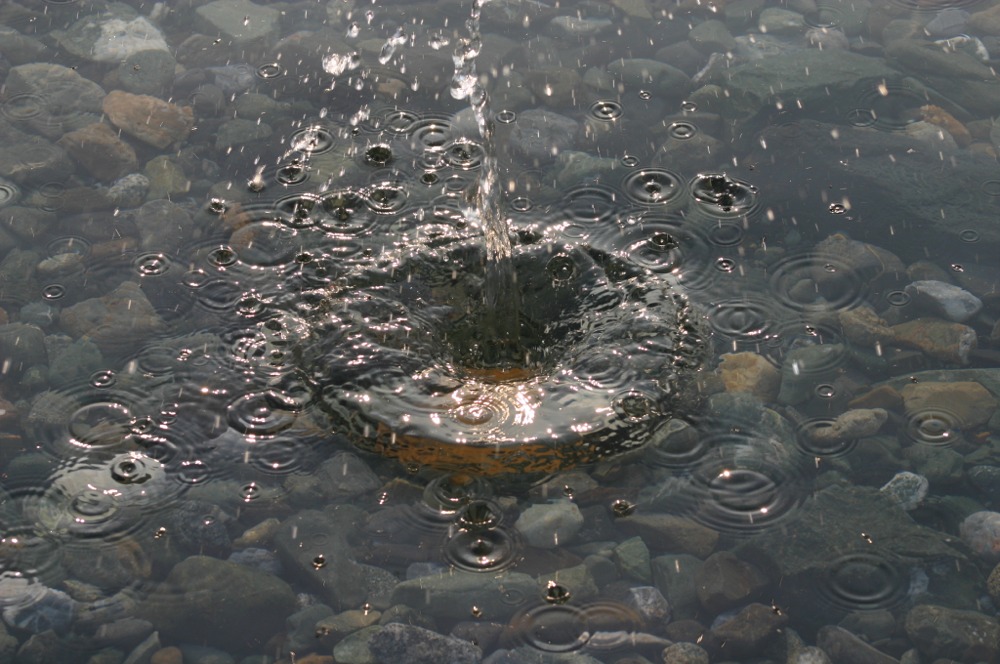 Puzzle Image