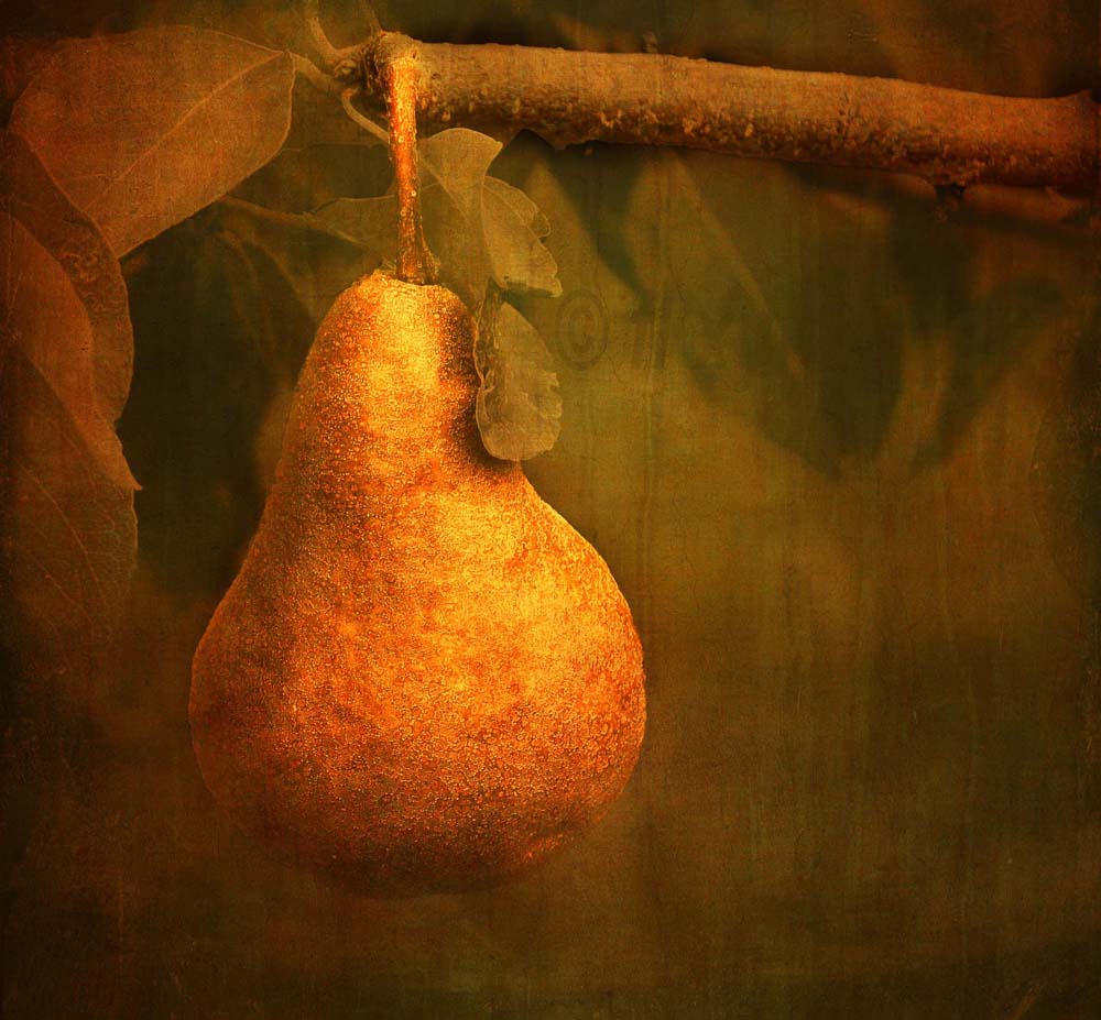 Puzzle Image