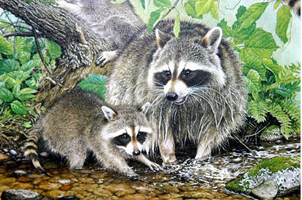 Puzzle Image