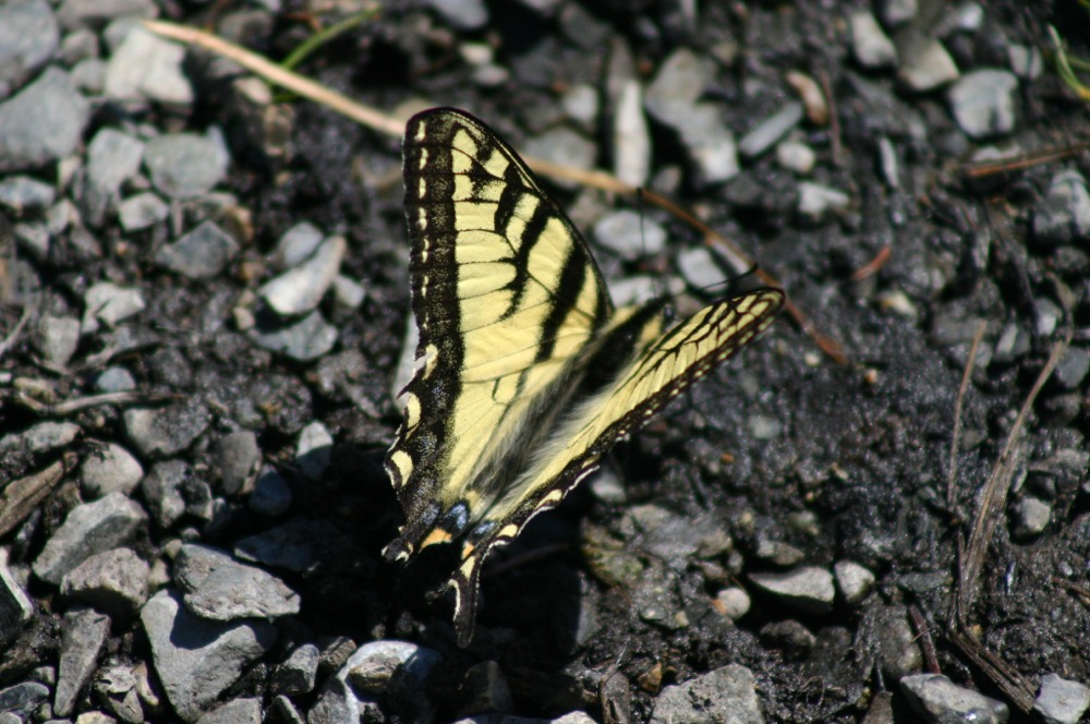 Puzzle Image
