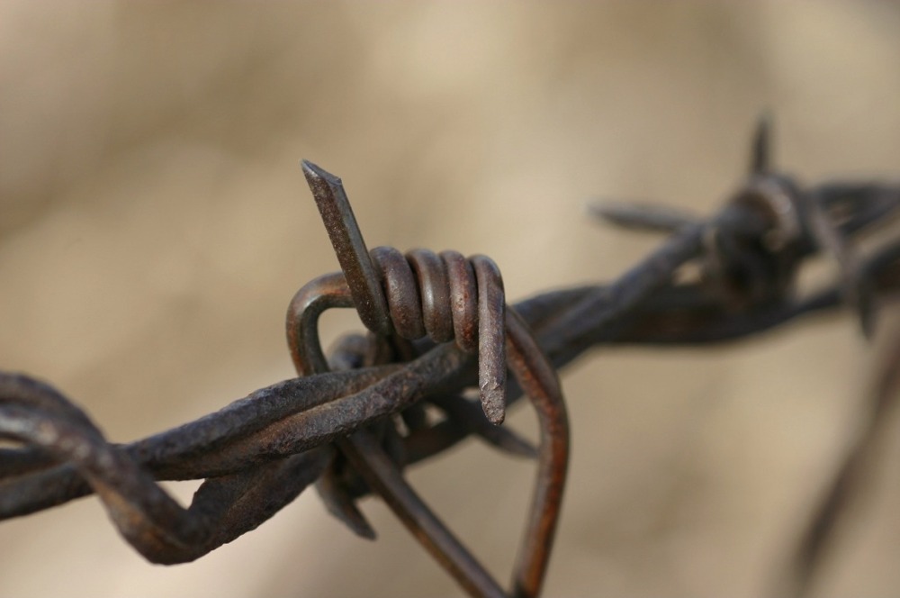 Puzzle Image