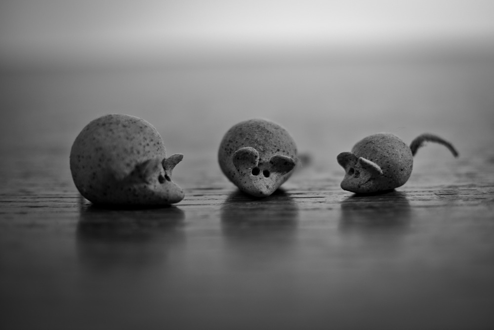 Puzzle Image