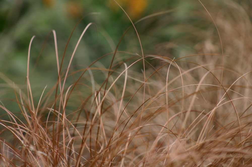 Puzzle Image