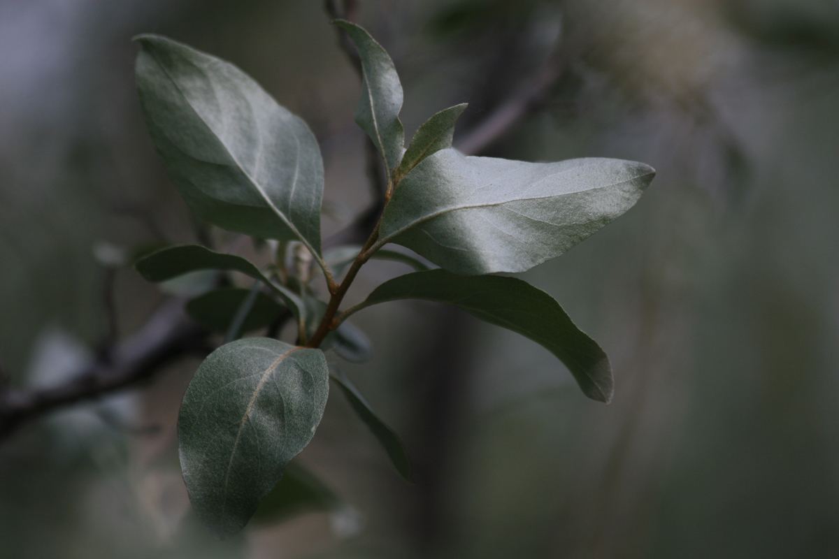 Puzzle Image
