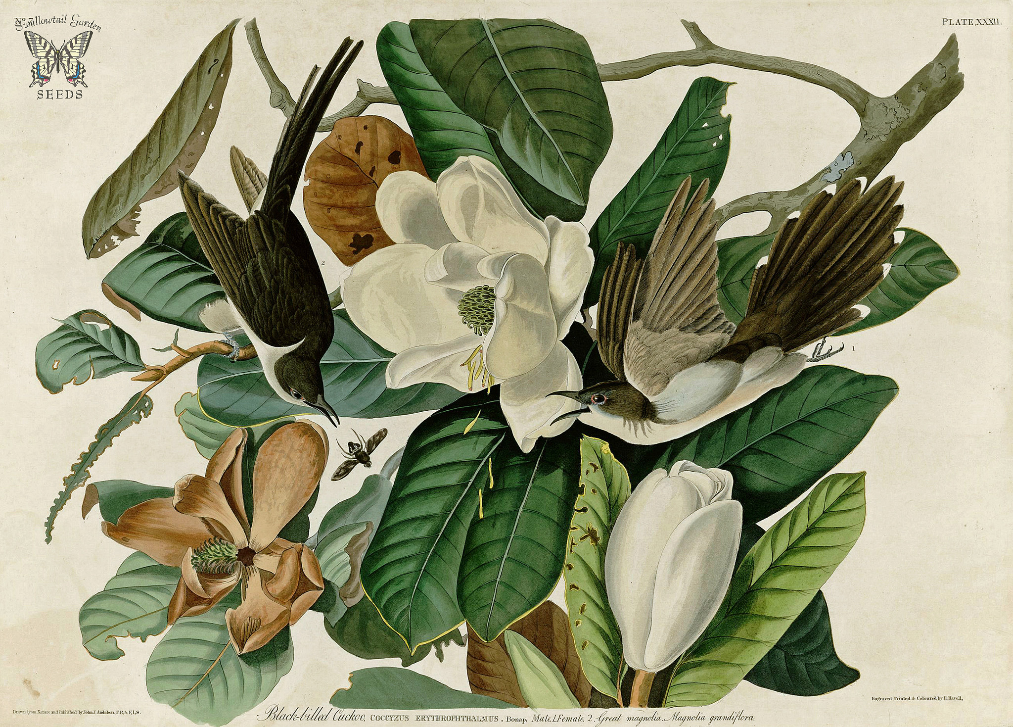 Puzzle Image