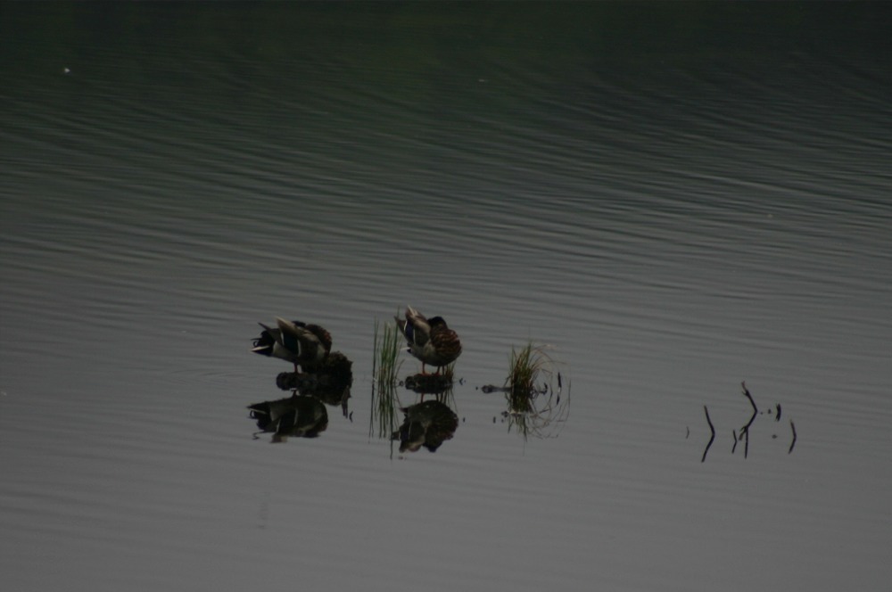 Puzzle Image