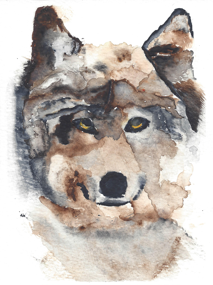 Puzzle Image