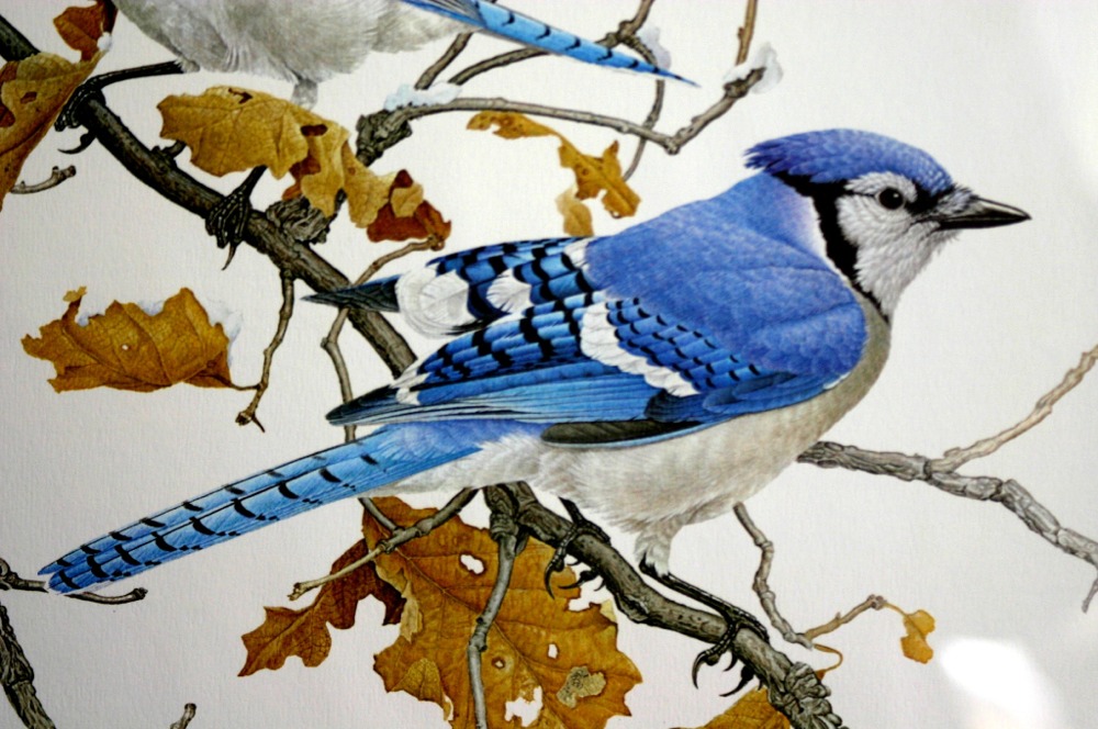 Puzzle Image