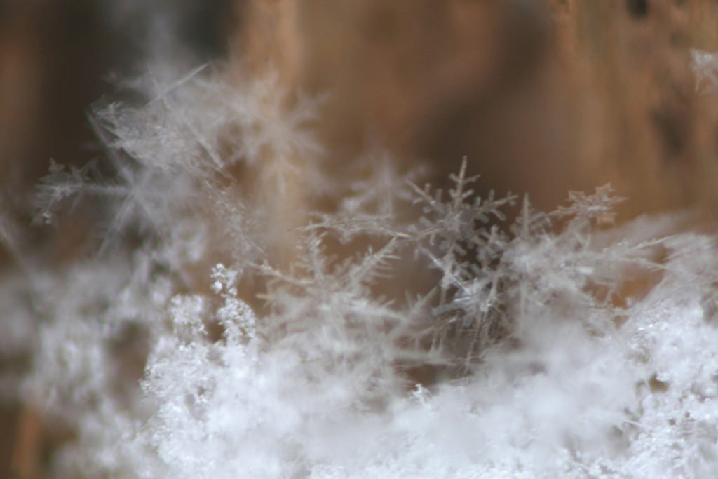 Puzzle Image