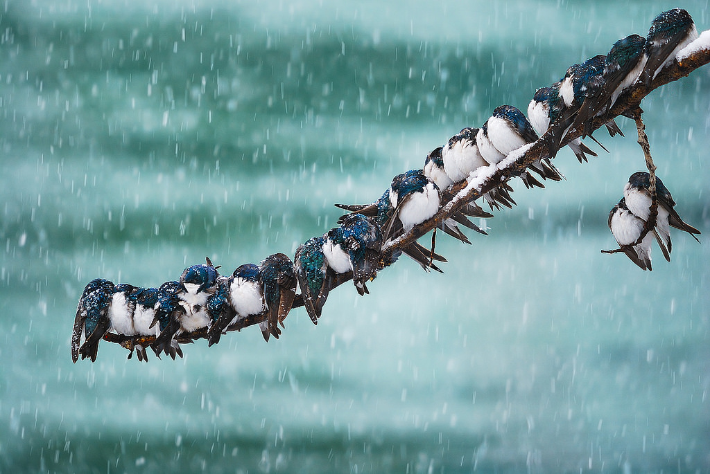 Puzzle Image