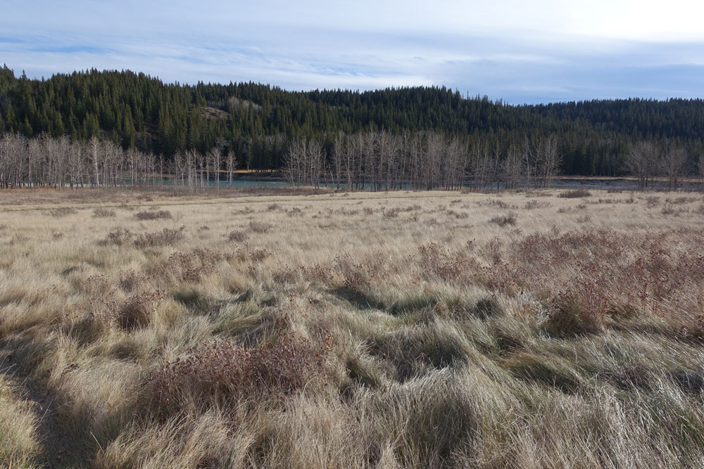 Puzzle Image