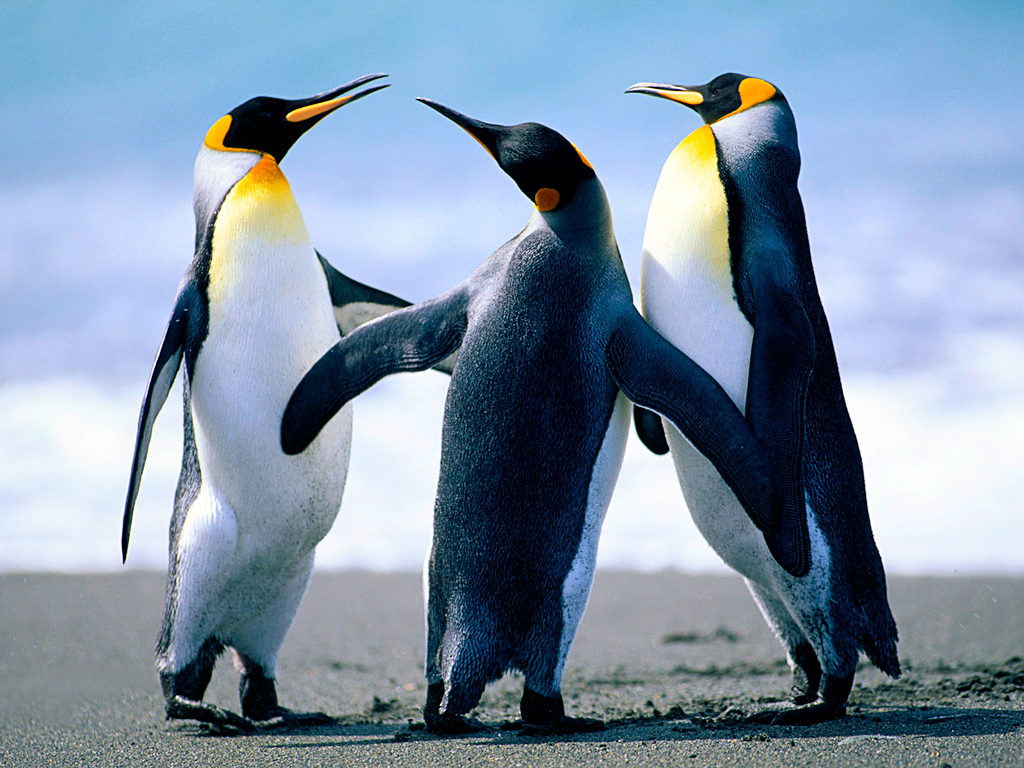 Puzzle Image