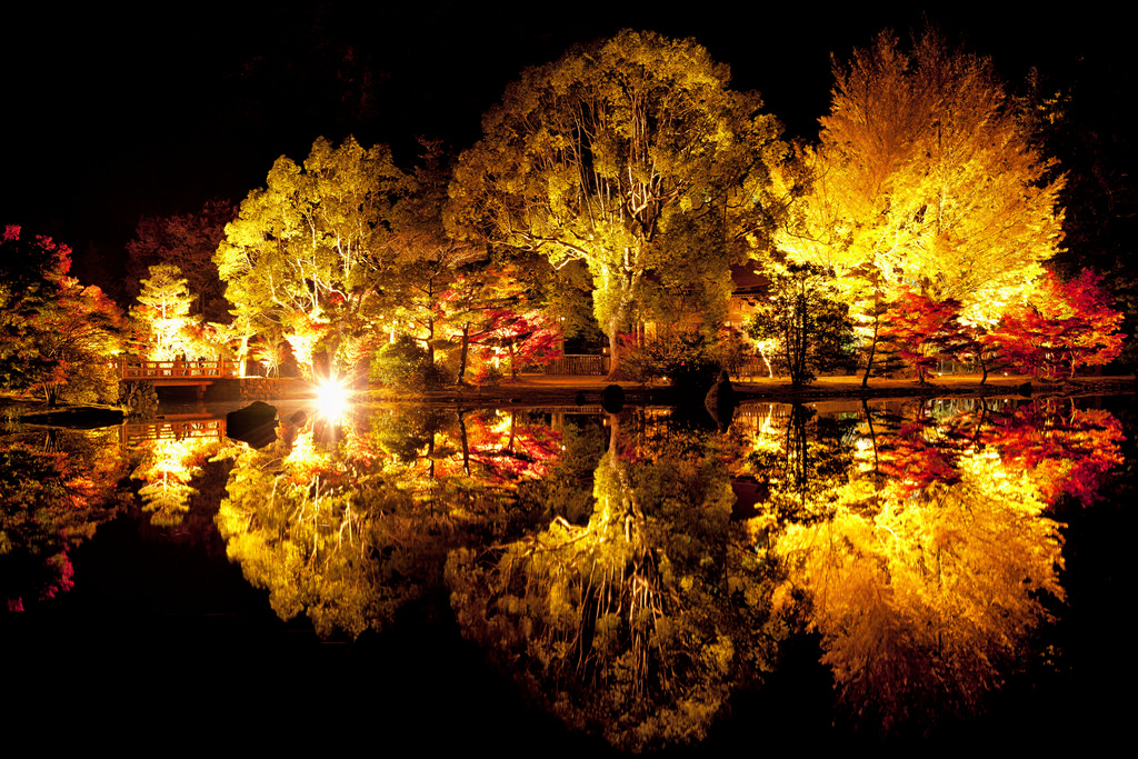 Puzzle Image