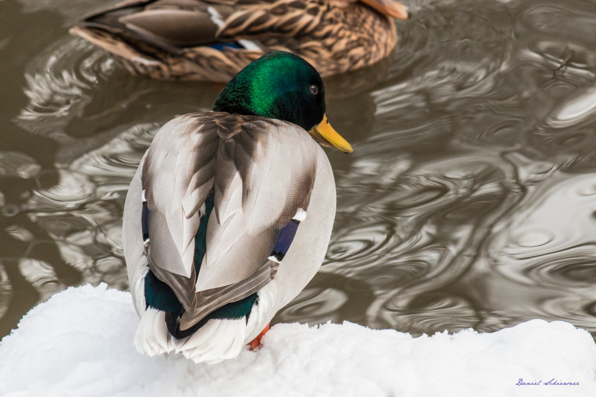 Puzzle Image