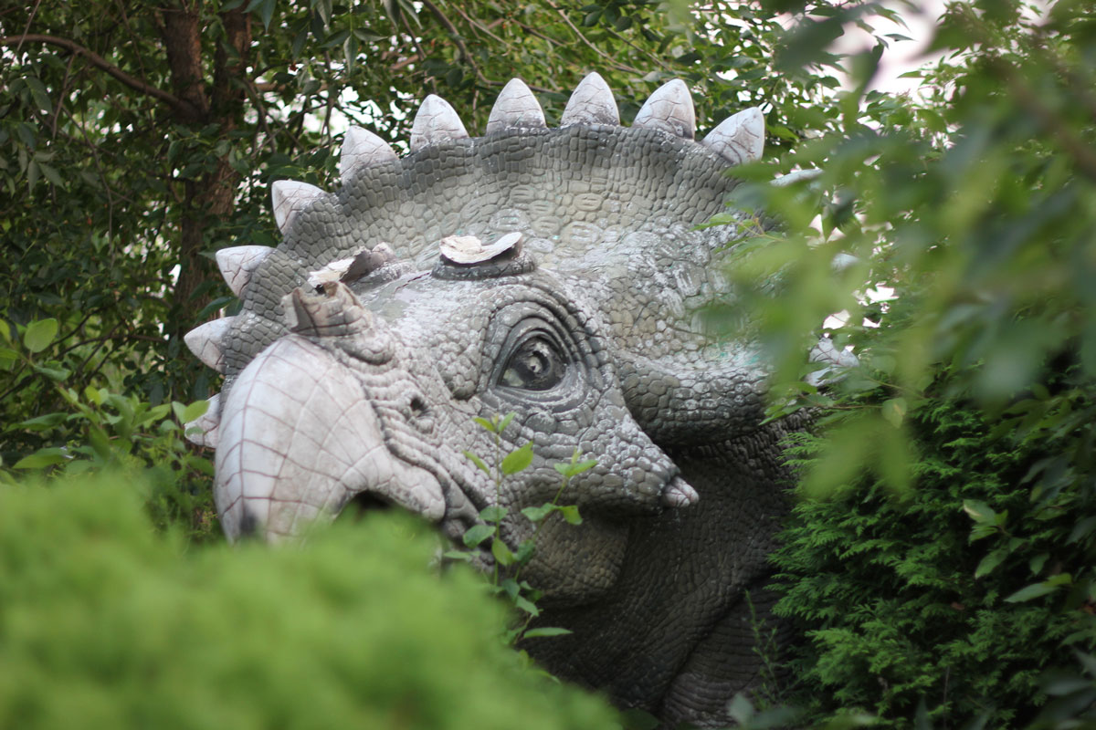 Puzzle Image