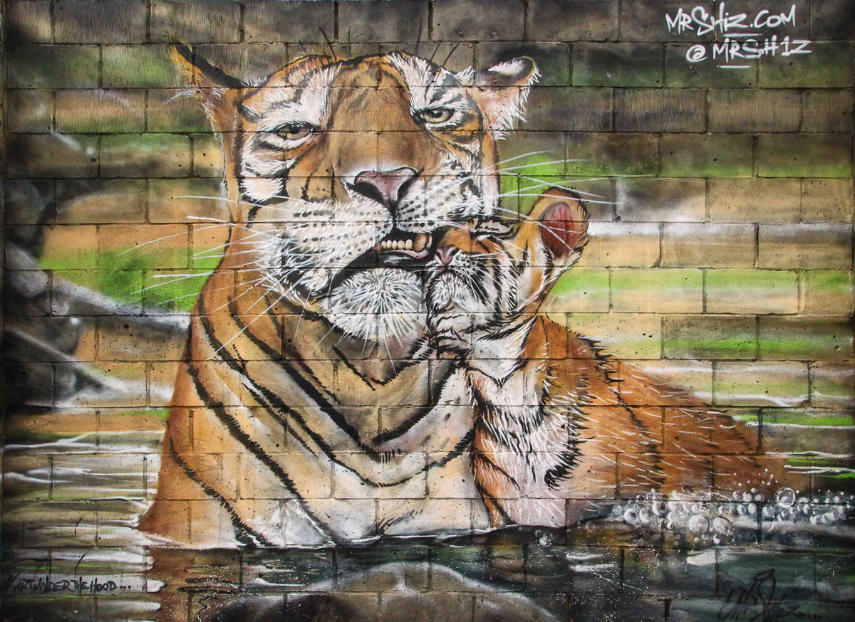 Puzzle Image