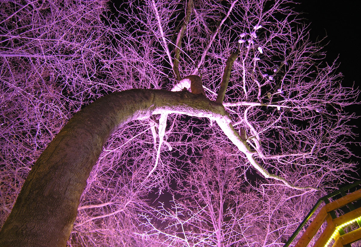Puzzle Image