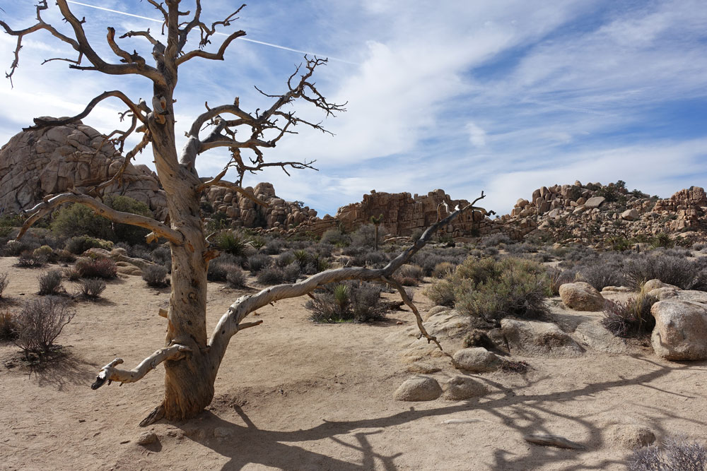 Puzzle Image