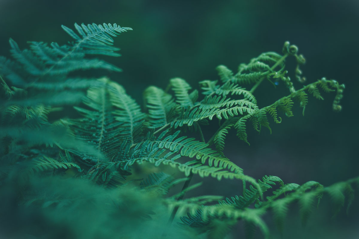 Puzzle Image