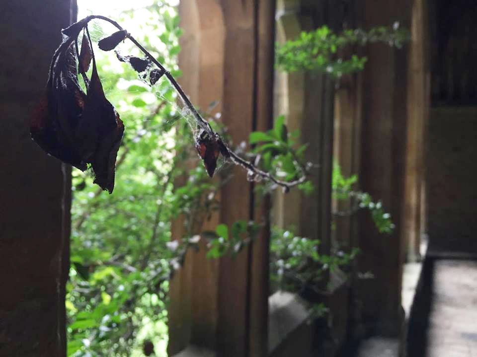 Puzzle Image
