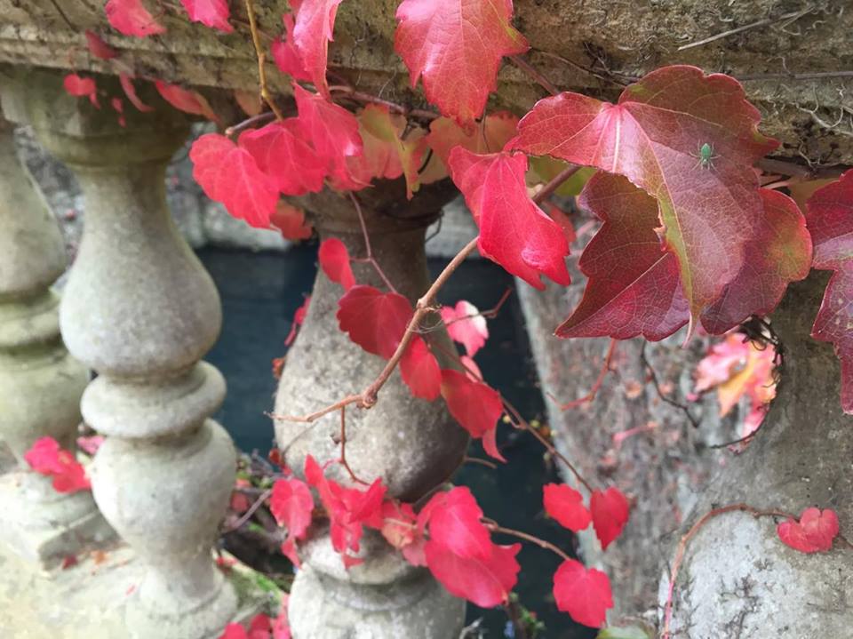 Puzzle Image
