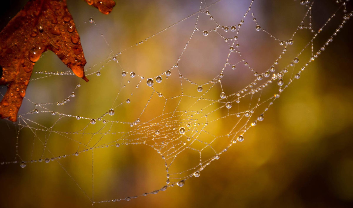 Puzzle Image