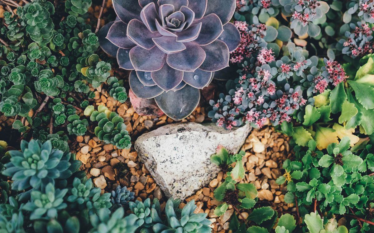 Puzzle Image