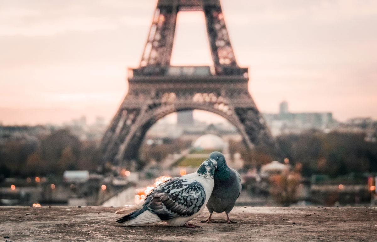 Puzzle Image