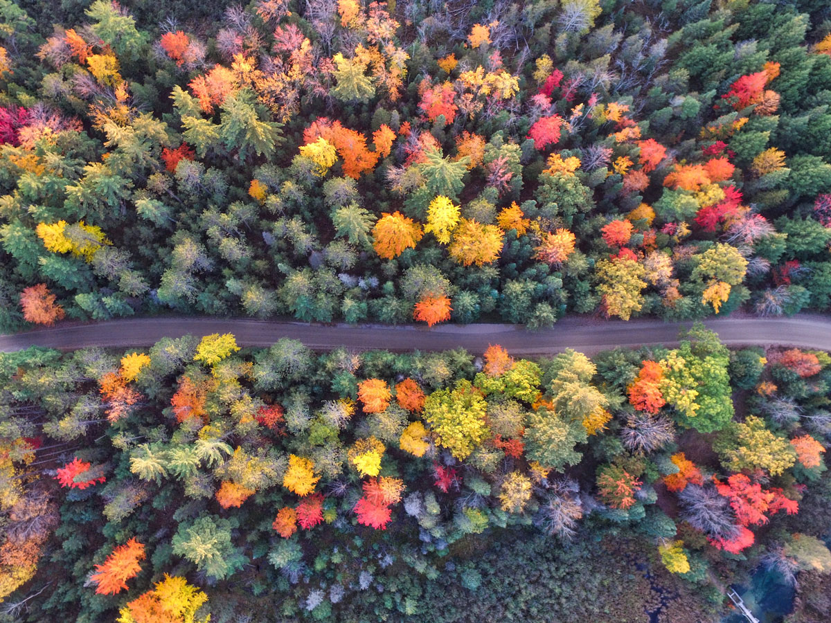 Puzzle Image
