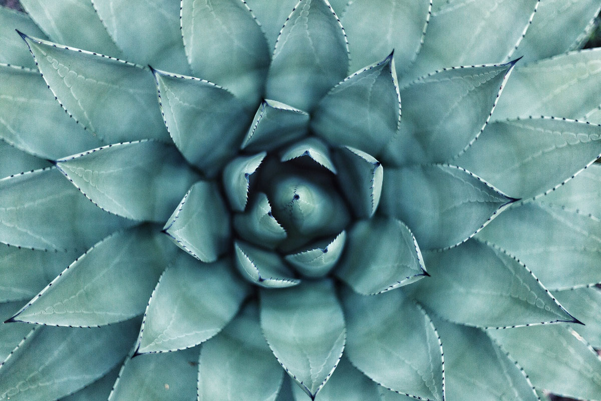 Puzzle Image