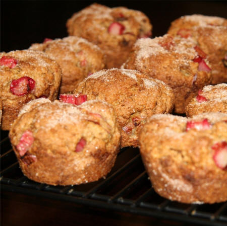 Rhubarb Muffins