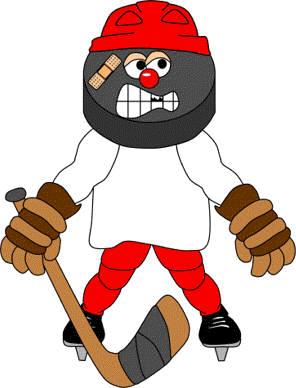 Hockey buddy