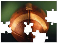 Super Bowl Online Jigsaw Puzzles