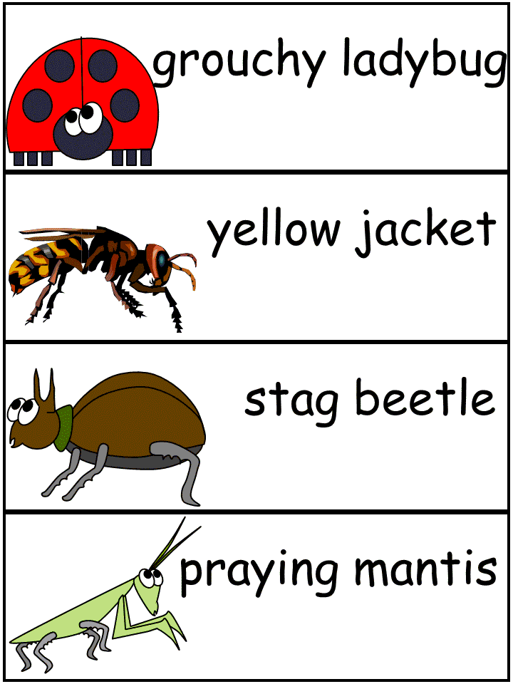 Grouchy Ladybug Word Wall Words