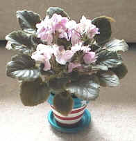 flower pot