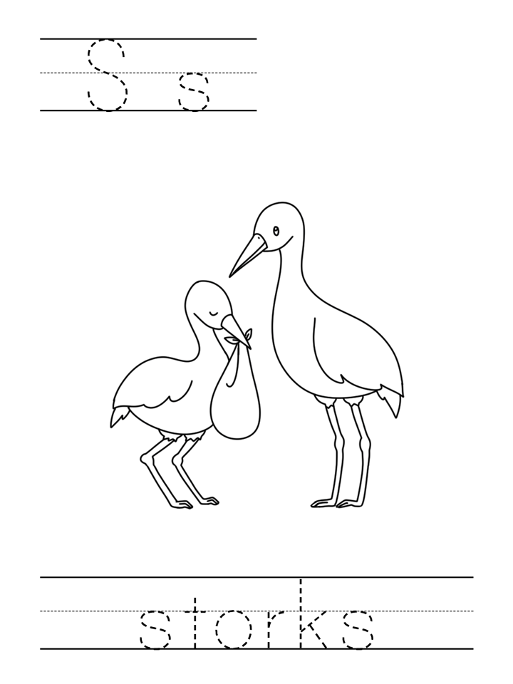 template
