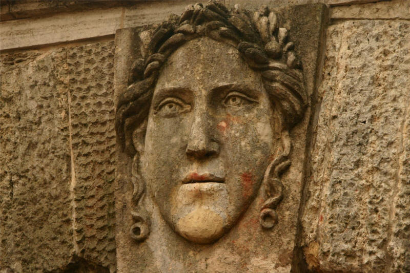 Athena photo by Leanne Guenther
