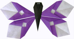 origami butterfly