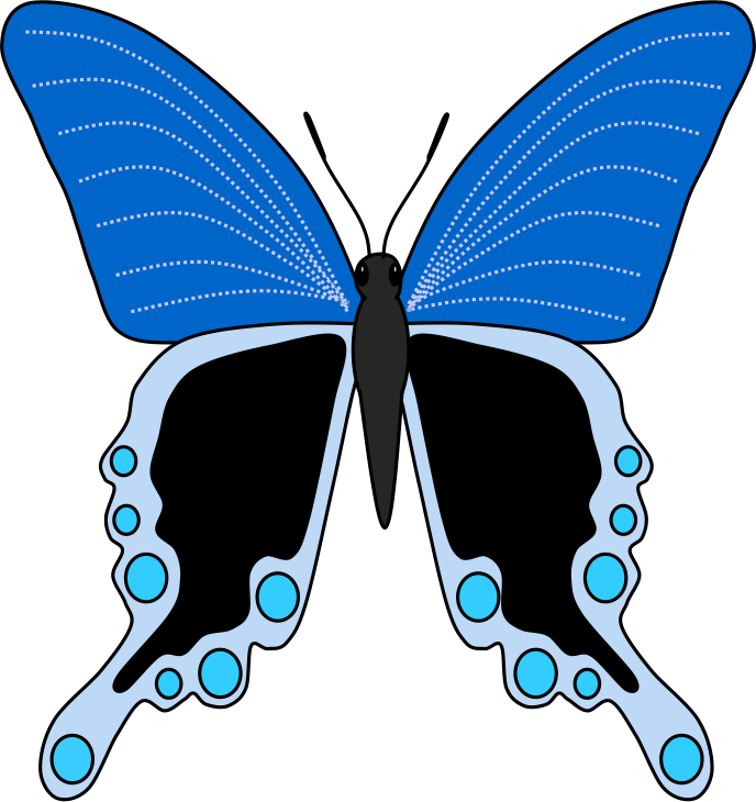The Moon Maiden: butterfly