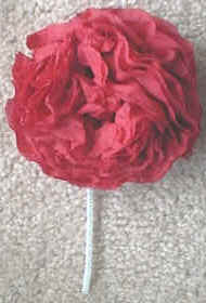tissue flowers