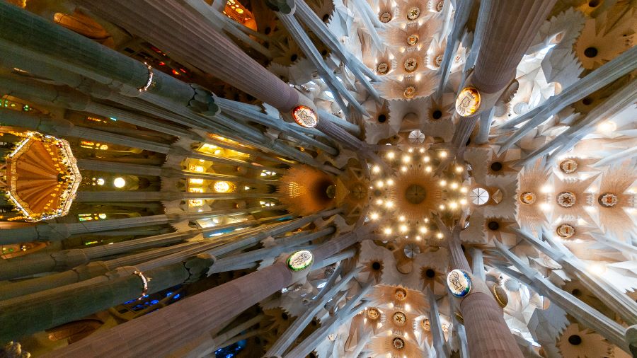image of the Ceiling inside the La Sagrada Familia in Barcelona, Spain