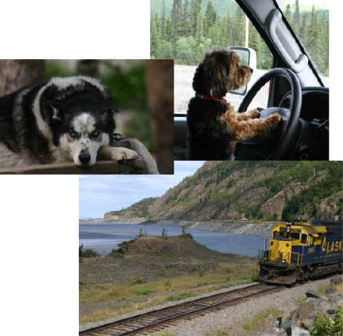 Alaska Road Trip Journal
