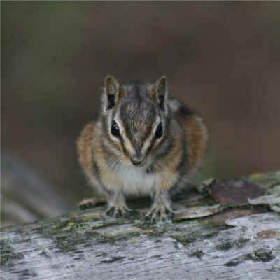 Photo by Leanne Guenther