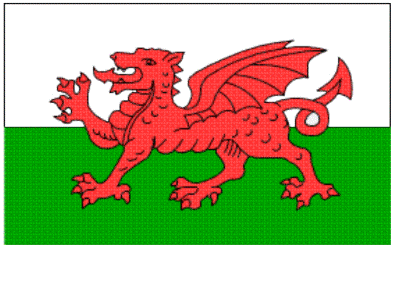 saint david's day coloring page