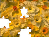 jigsaw puzzles