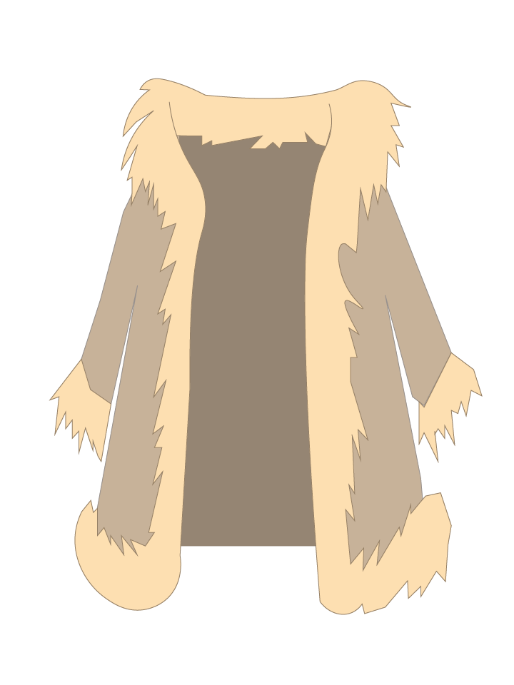 Nasruddin's Fur Coat
