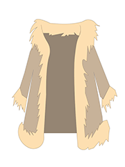 Nasruddin's fur coat.