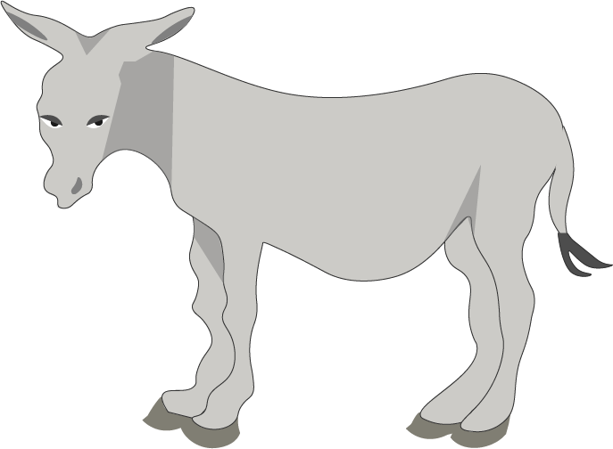 The donkey